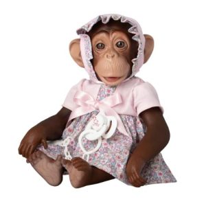 Chimpanse – Lola
