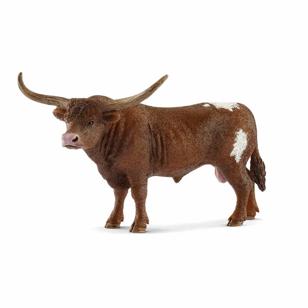 Texas longhorn tyr - Billede 2