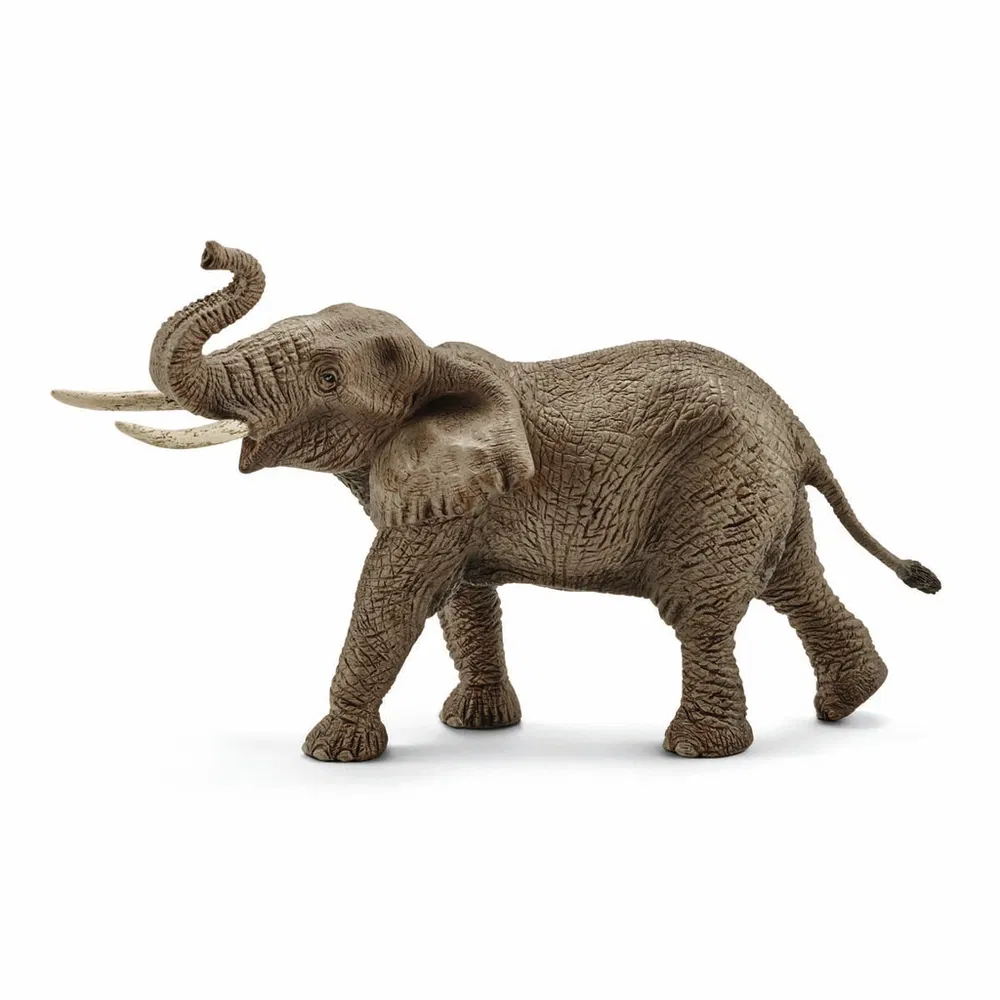 Afrikansk elefant hun - Billede 2